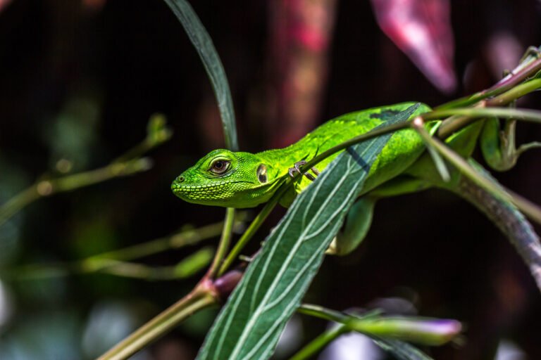 Little Big Things, donde lo pequeño se vuelve inmenso